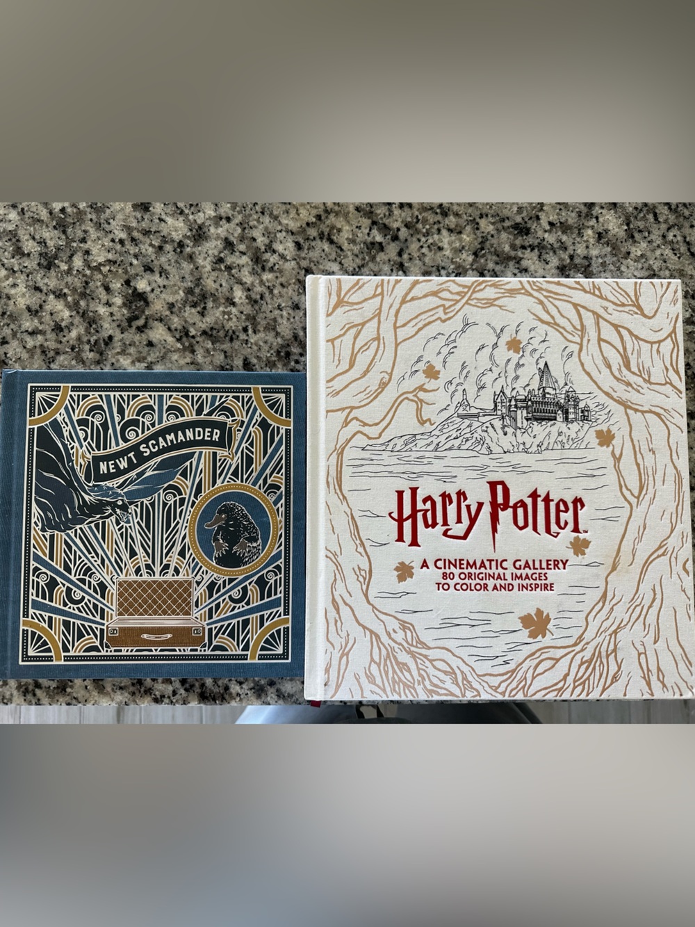 Harry Potter Cinematic Gallery Coloring Book -+ Newt Scamander book